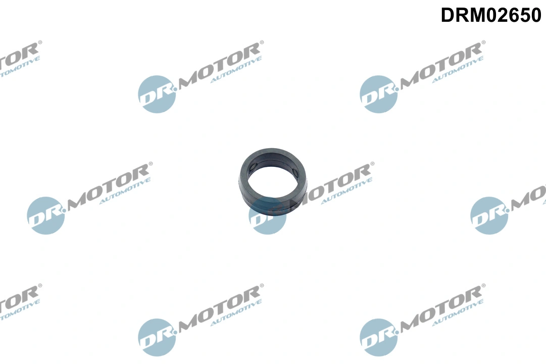 Gasket, oil filter housing